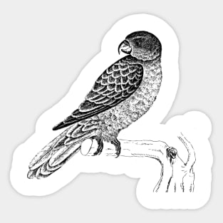 Bird Sticker